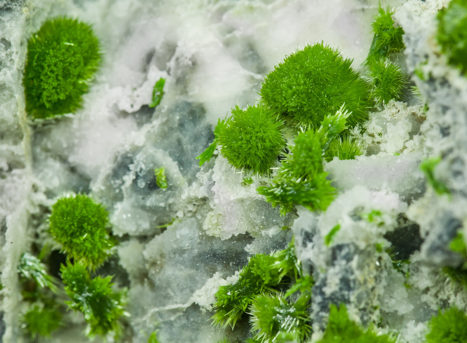 specimens/s_imagesAP5/Pyromorphite-TRR47AP5d.jpg