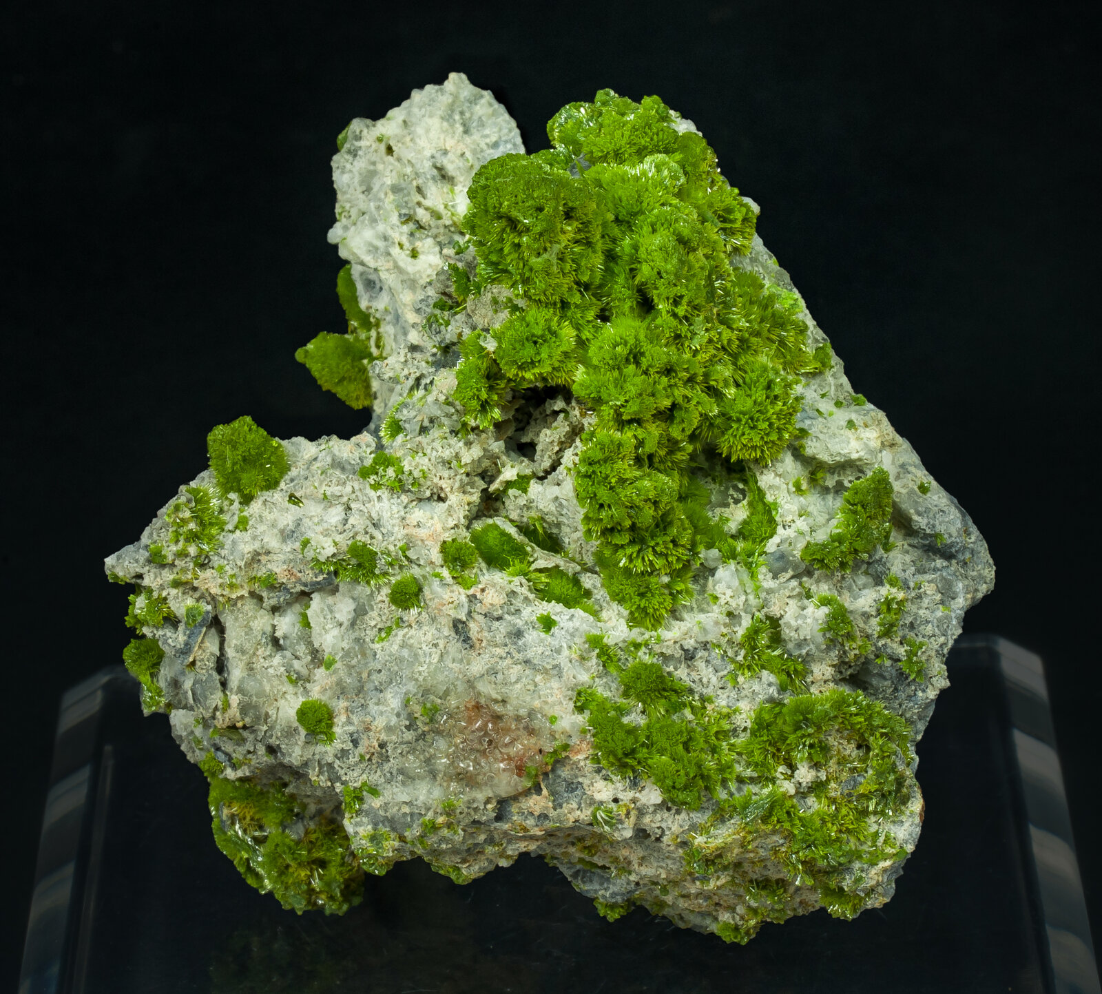 specimens/s_imagesAP5/Pyromorphite-TRR47AP5f.jpg