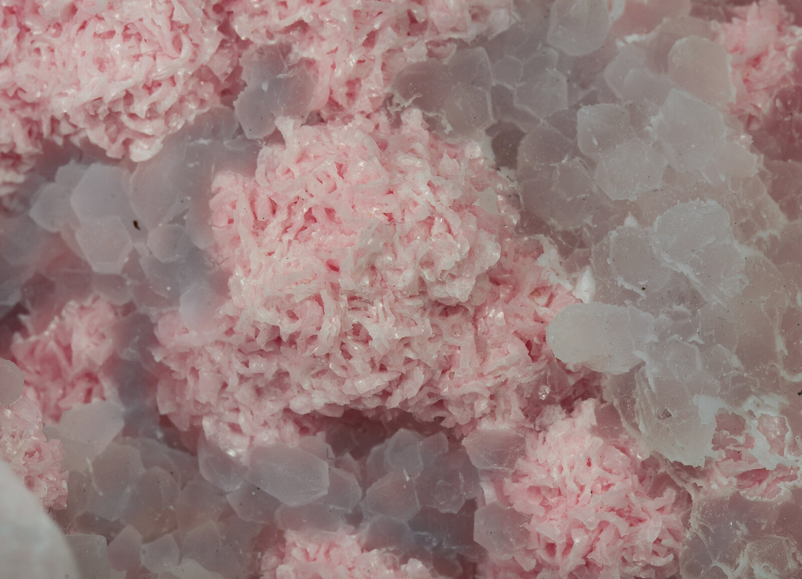 specimens/s_imagesAP5/Rhodochrosite-EMF49AP5d.jpg