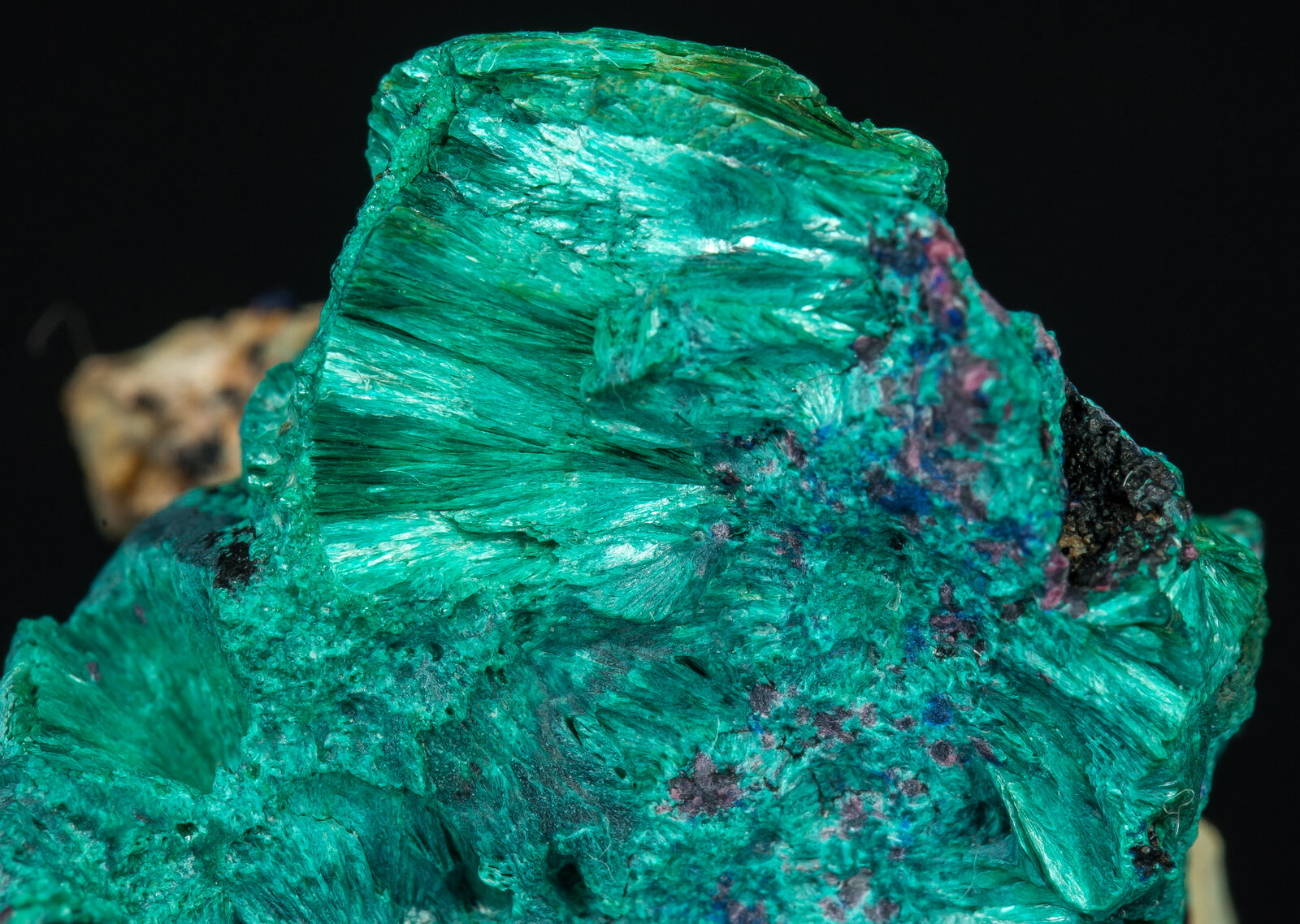 specimens/s_imagesAP5/Tyrolite-MBM47AP5d.jpg