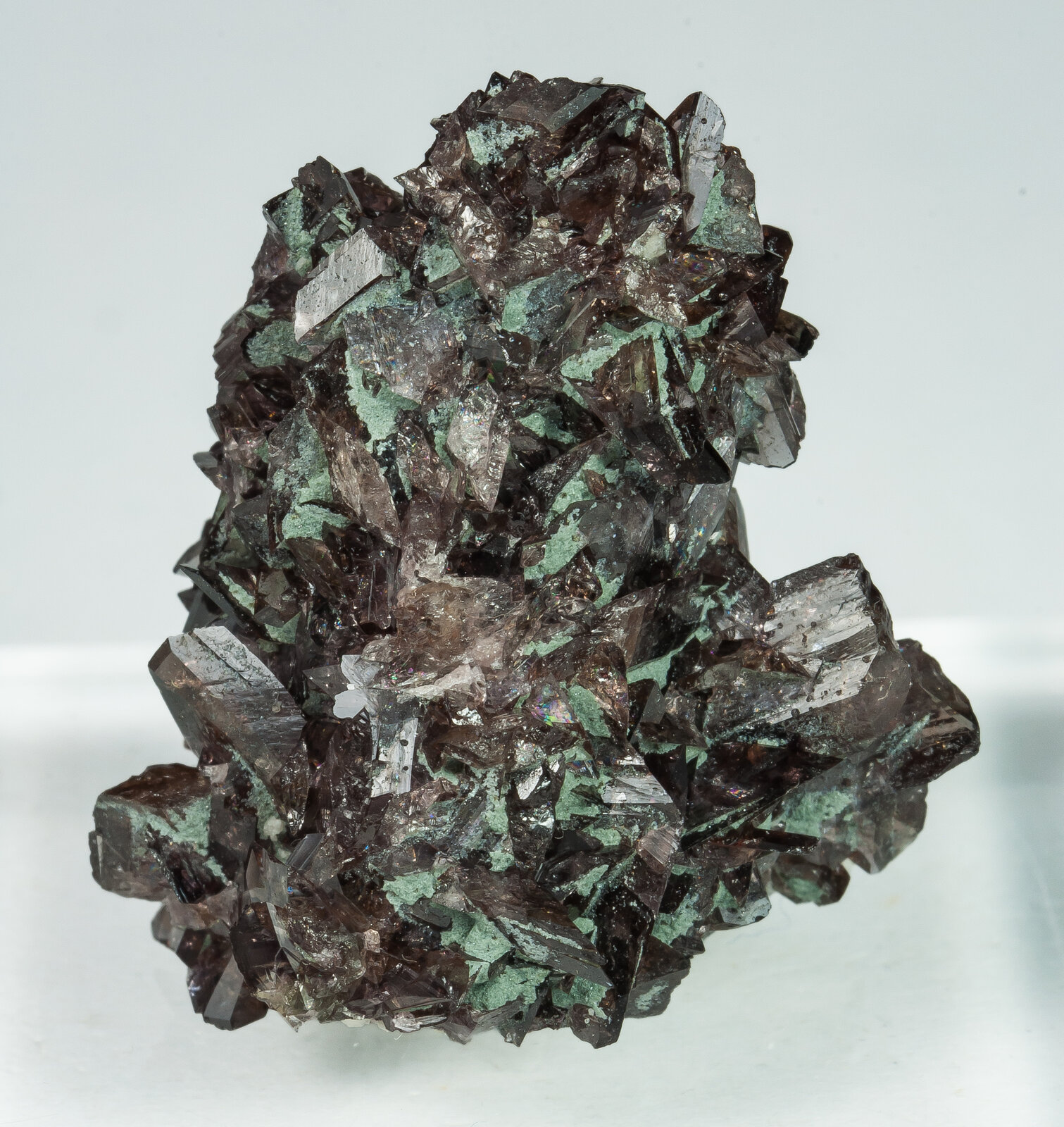 specimens/s_imagesAP6/Axinite-TXB16AP6f.jpg