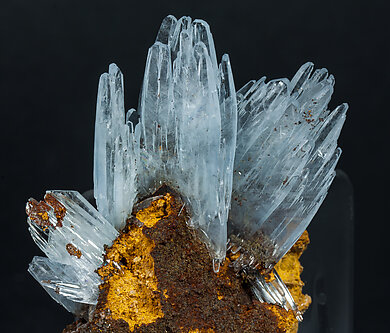 Baryte with limonite. 