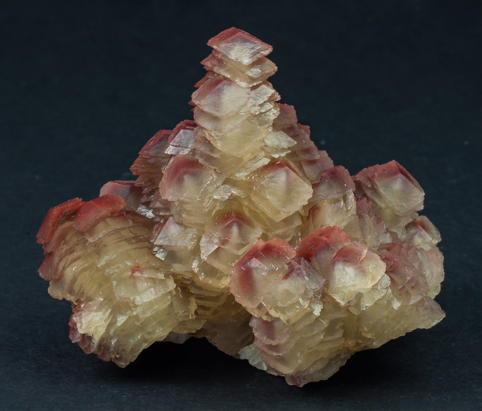 specimens/s_imagesAP6/Calcite-TMR47AP6f1.jpg