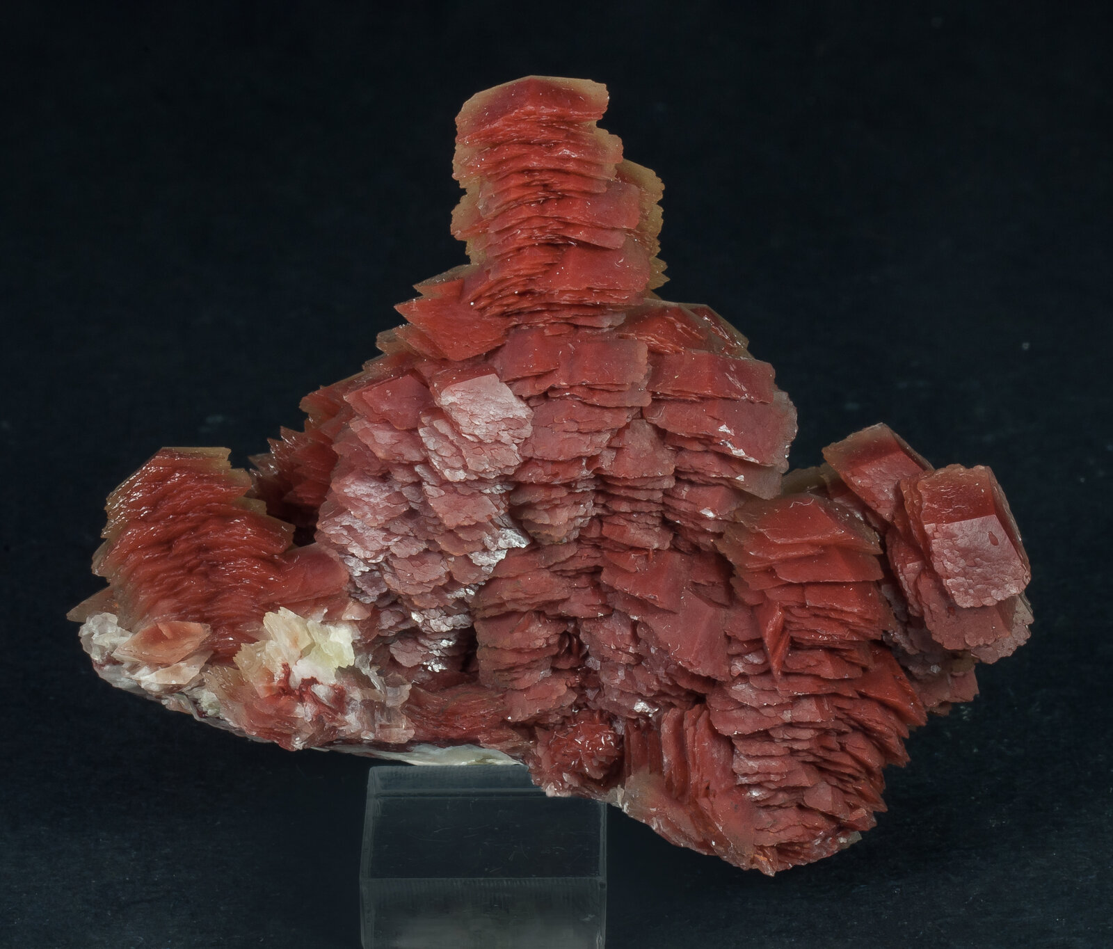 specimens/s_imagesAP6/Calcite-TMR47AP6r.jpg