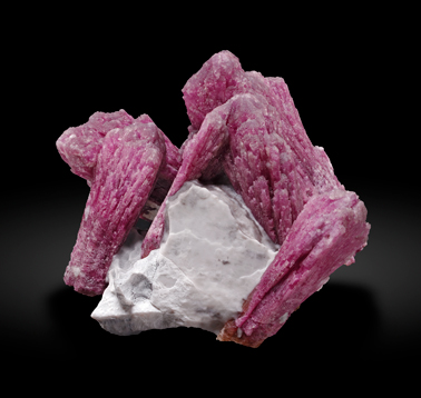 Elbaite-Schorl Series (variety rubellite) with Microcline. Front / Photo: Joaquim Calln