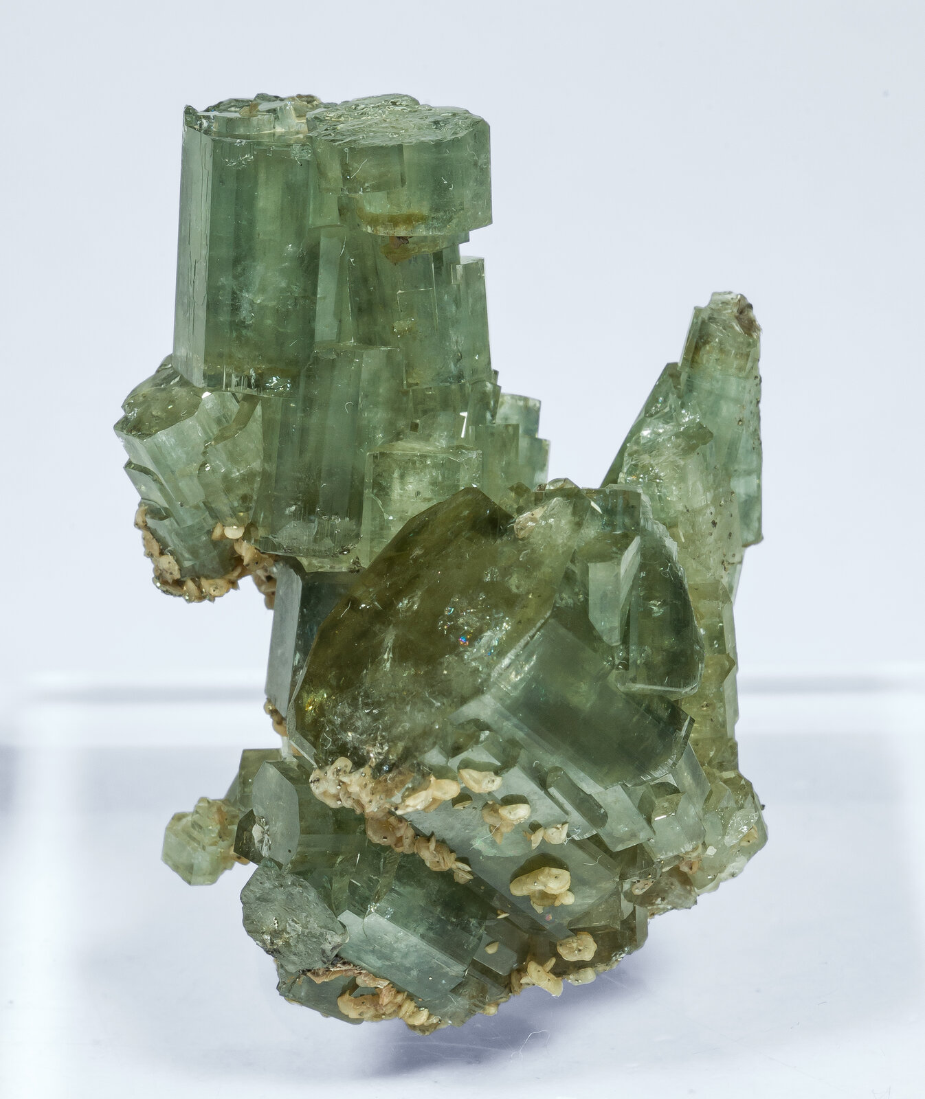 specimens/s_imagesAP6/Fluorapatite-JFD215AP6f.jpg