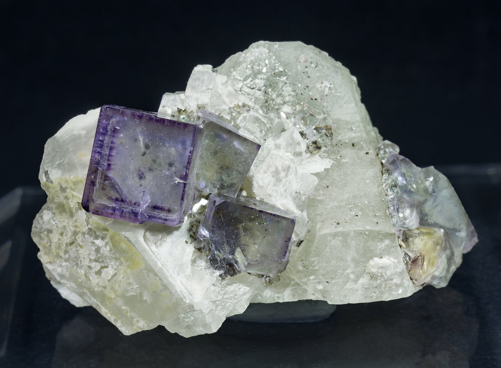 specimens/s_imagesAP6/Fluorite-NFB46AP6f.jpg