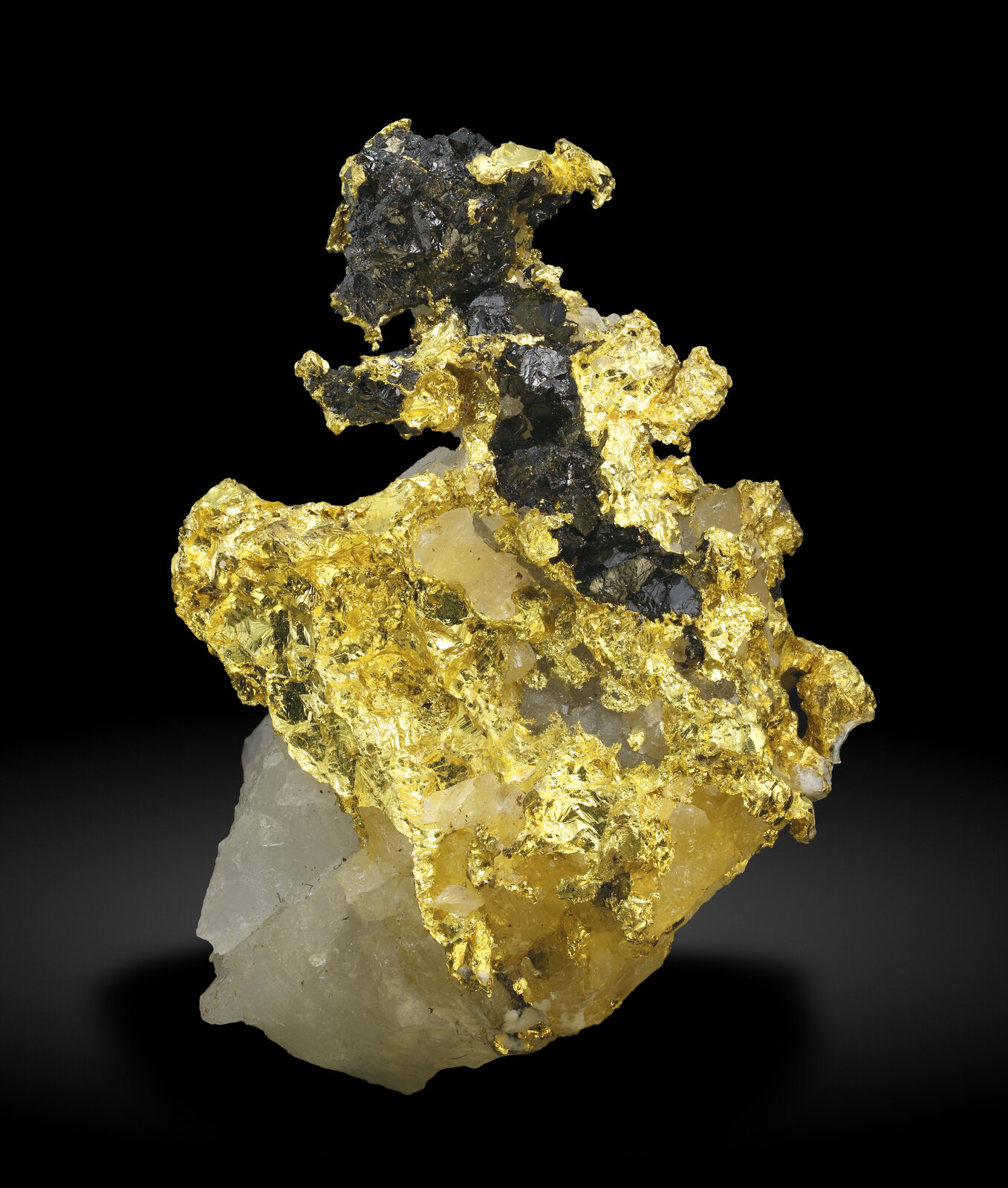 specimens/s_imagesAP6/Gold-MFX66AP6_050_f.jpg