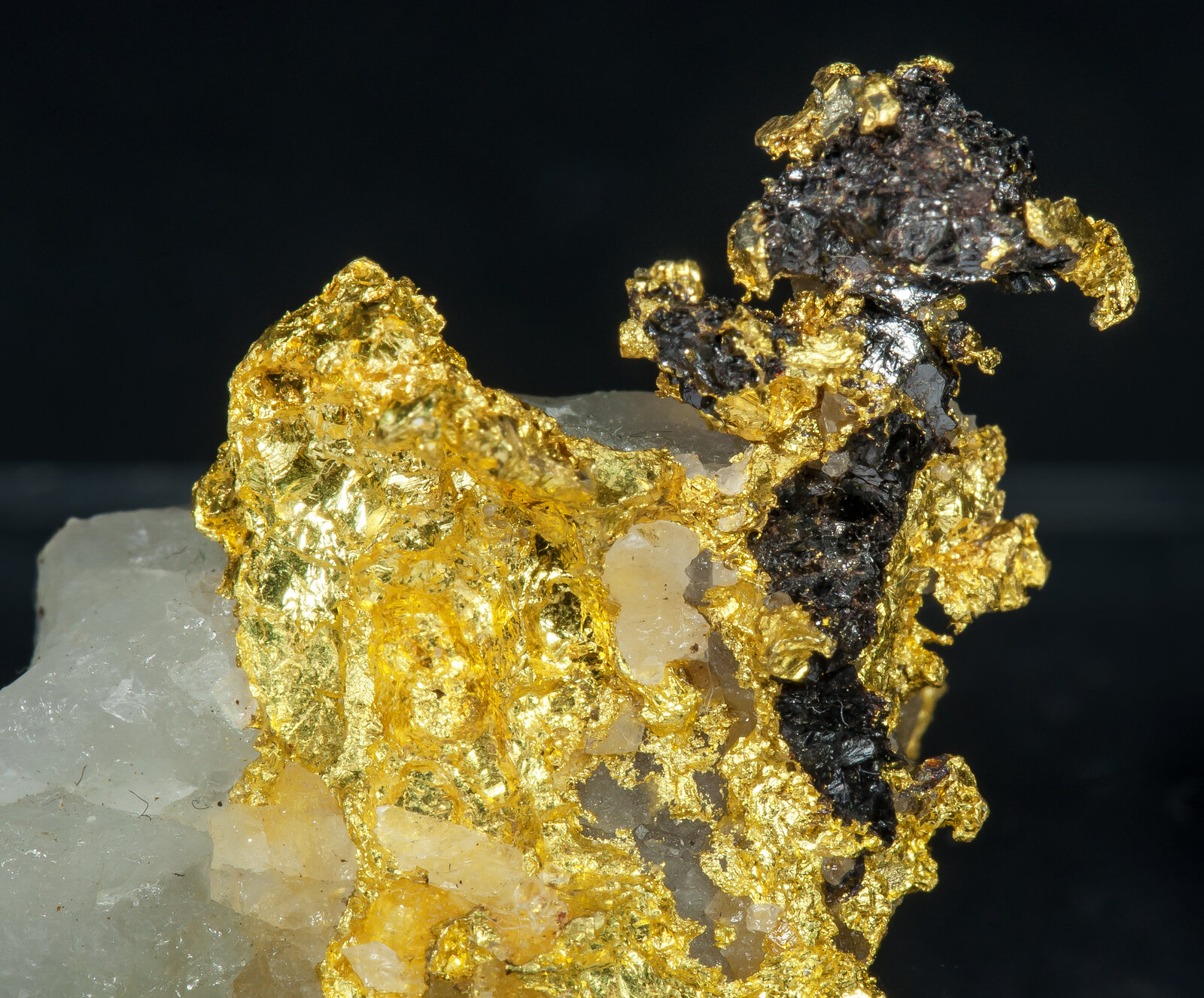 specimens/s_imagesAP6/Gold-MFX66AP6d.jpg