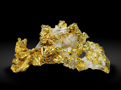 Gold with Quartz. Front / Photo: Joaquim Calln