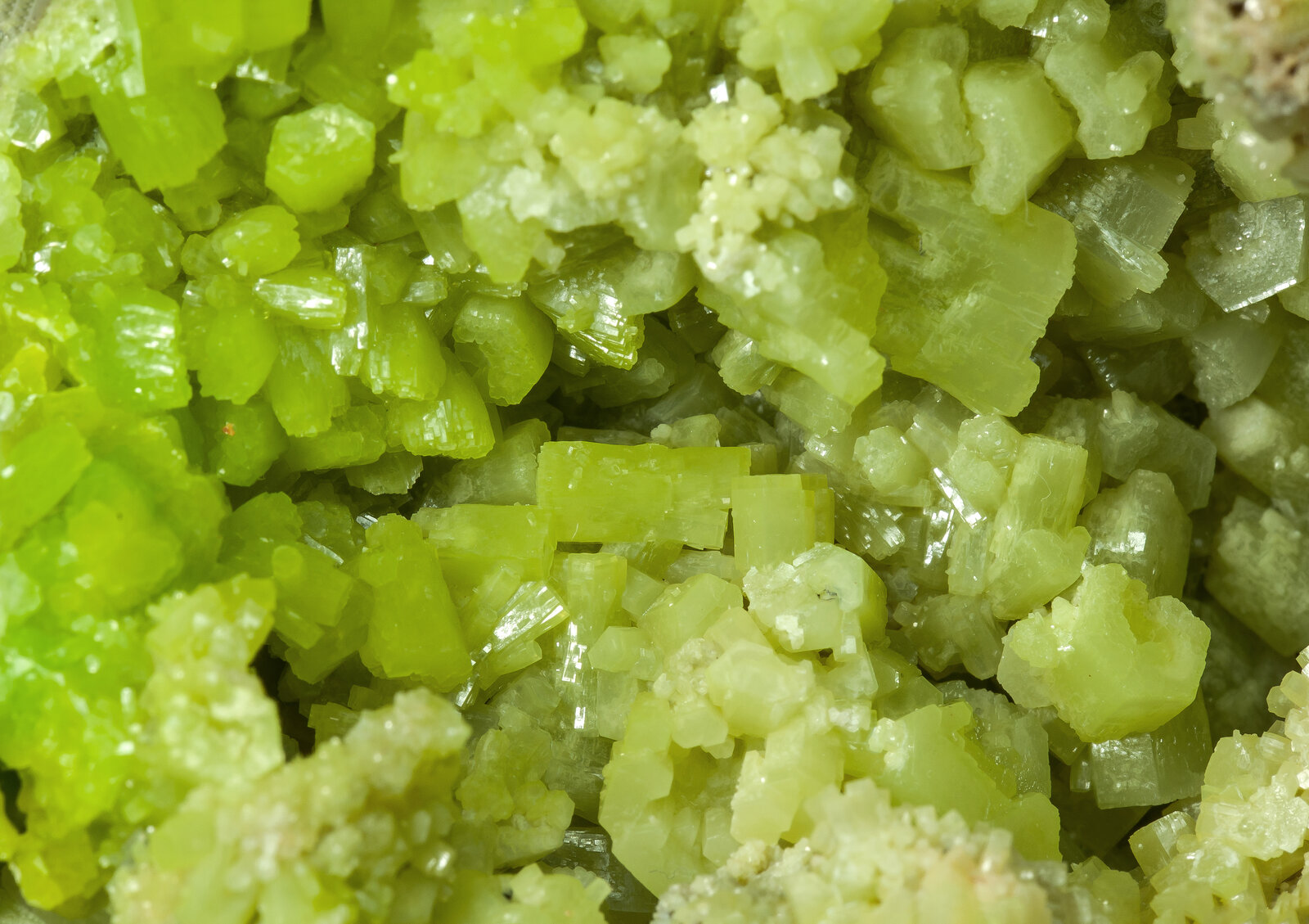 specimens/s_imagesAP6/Pyromorphite-NRM49AP6d.jpg