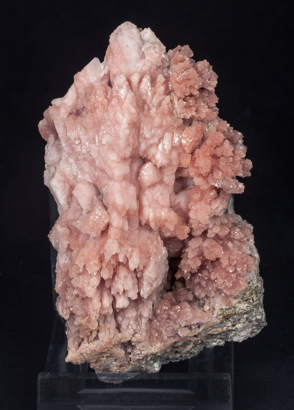 specimens/s_imagesAP6/Quartz_rose-TBR96AP6f.jpg