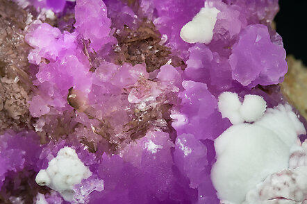 Talmessite with Calcite and Calcite (variety Co-bearing calcite). 