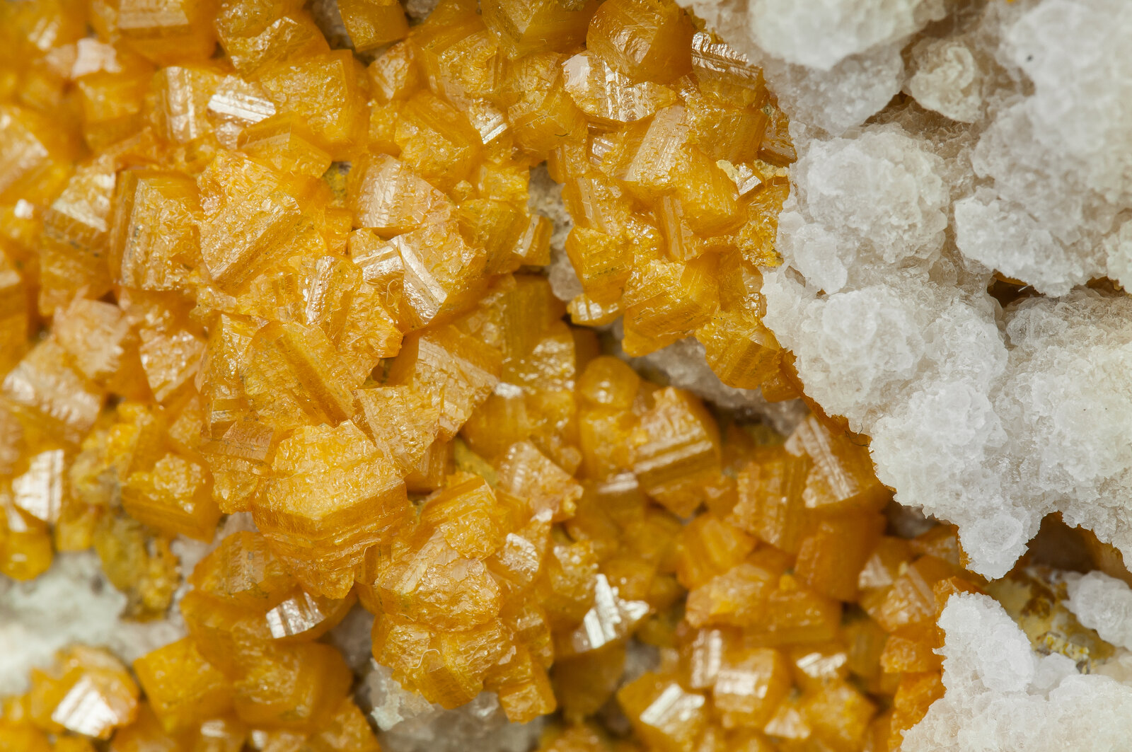 specimens/s_imagesAP6/Wulfenite-ECB67AP6d.jpg