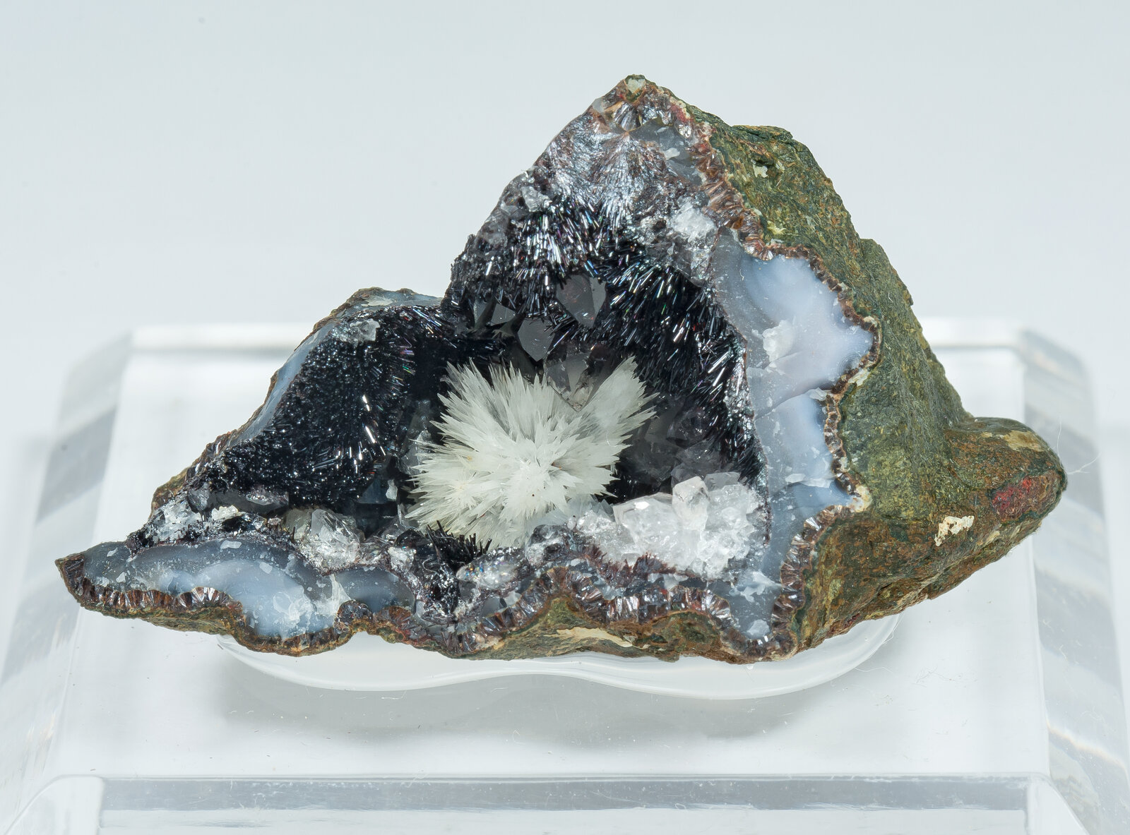 specimens/s_imagesAP7/Aragonite-JFD220AP7f.jpg