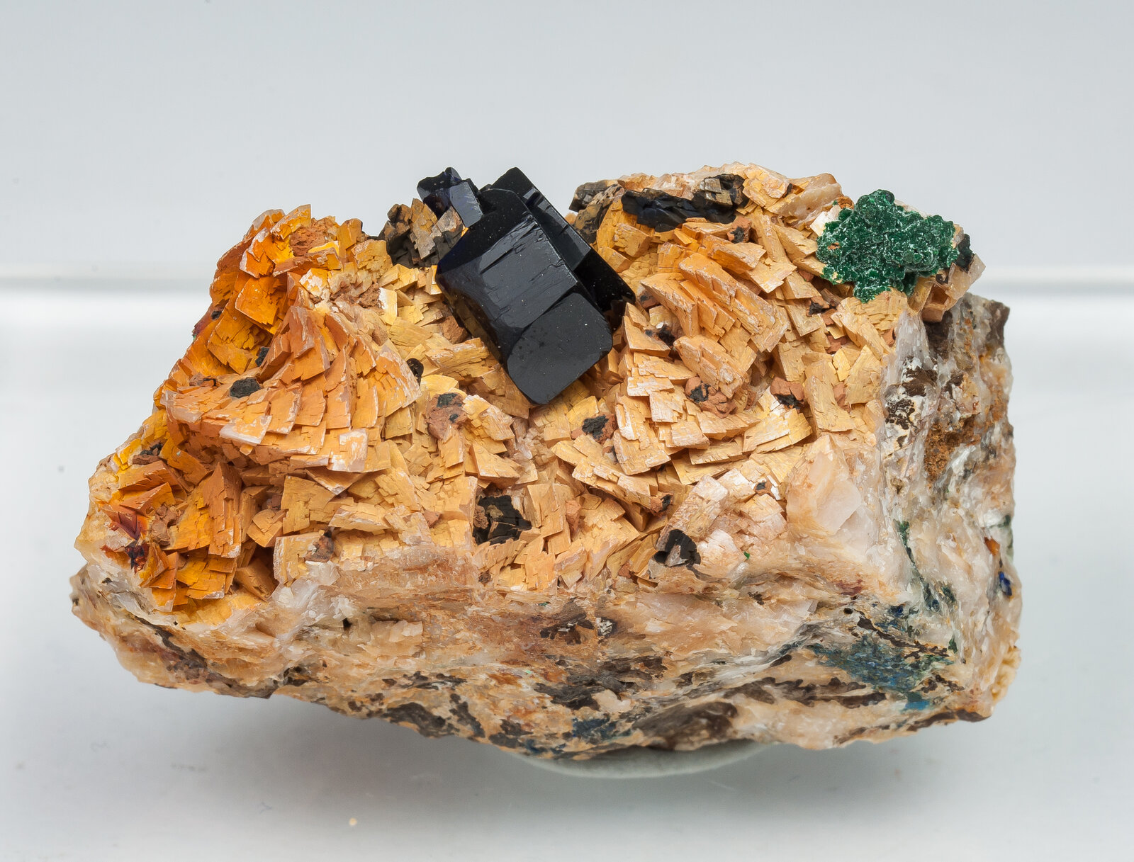 specimens/s_imagesAP7/Azurite-JFD219AP7f.jpg