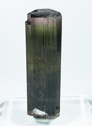 Elbaite. Front