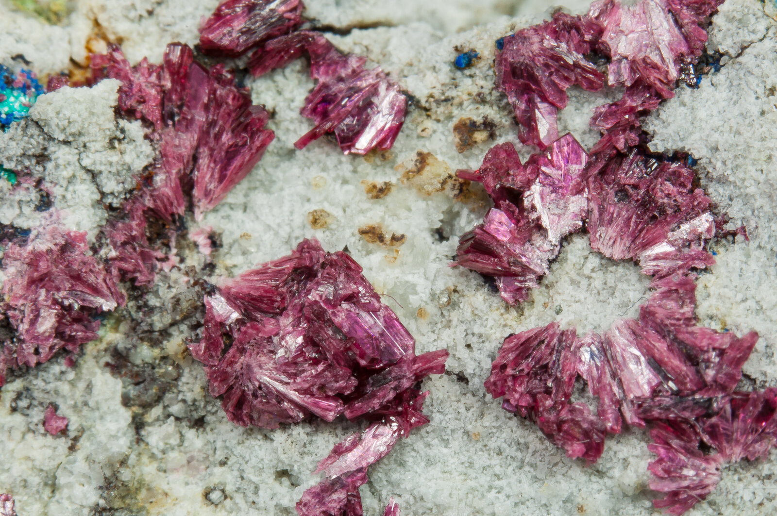 specimens/s_imagesAP7/Erythrite-TJK66AP7d.jpg