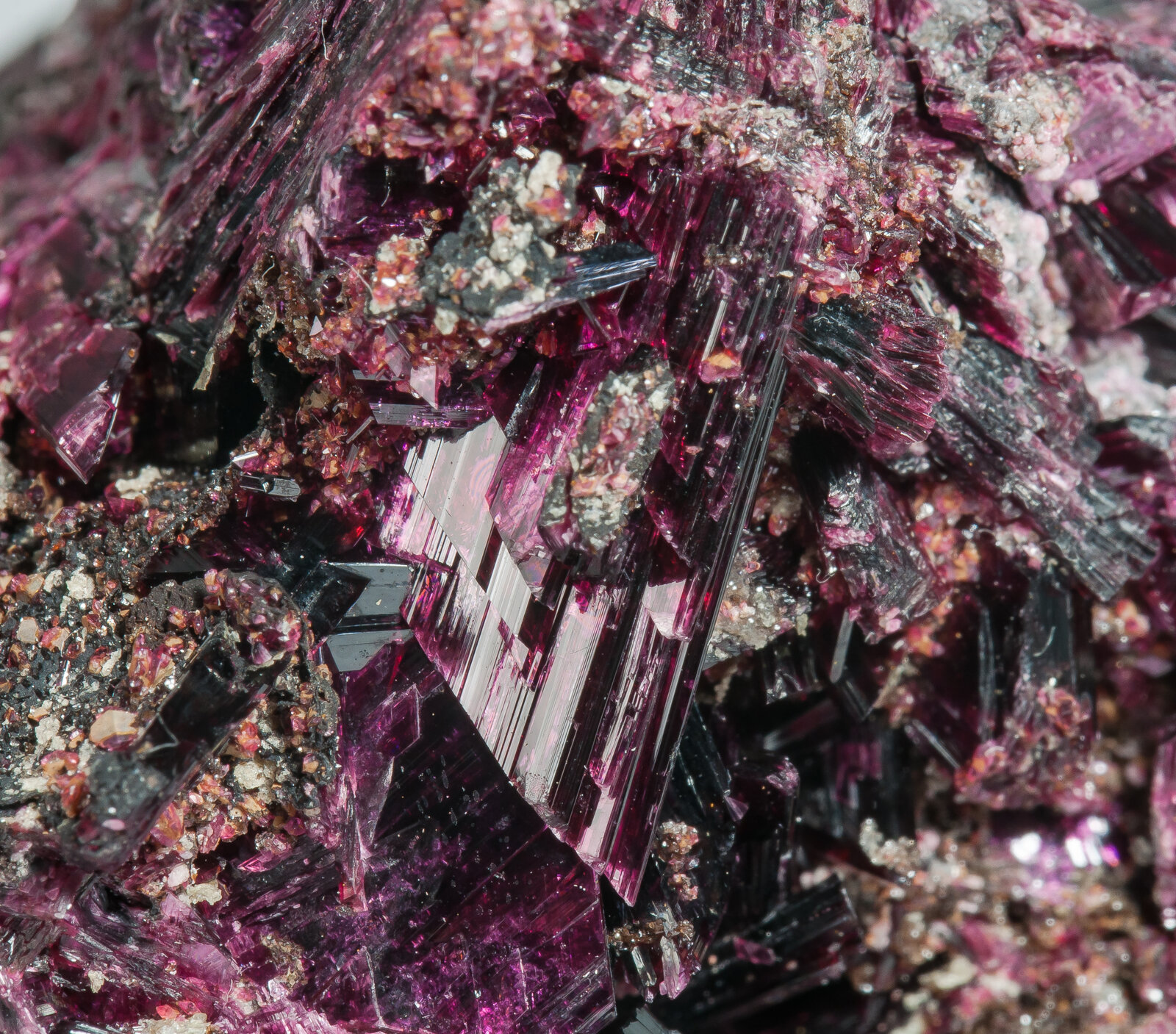 specimens/s_imagesAP7/Erythrite-TLA96AP7d.jpg