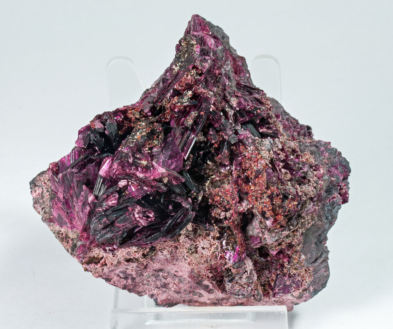 specimens/s_imagesAP7/Erythrite-TLA96AP7f.jpg