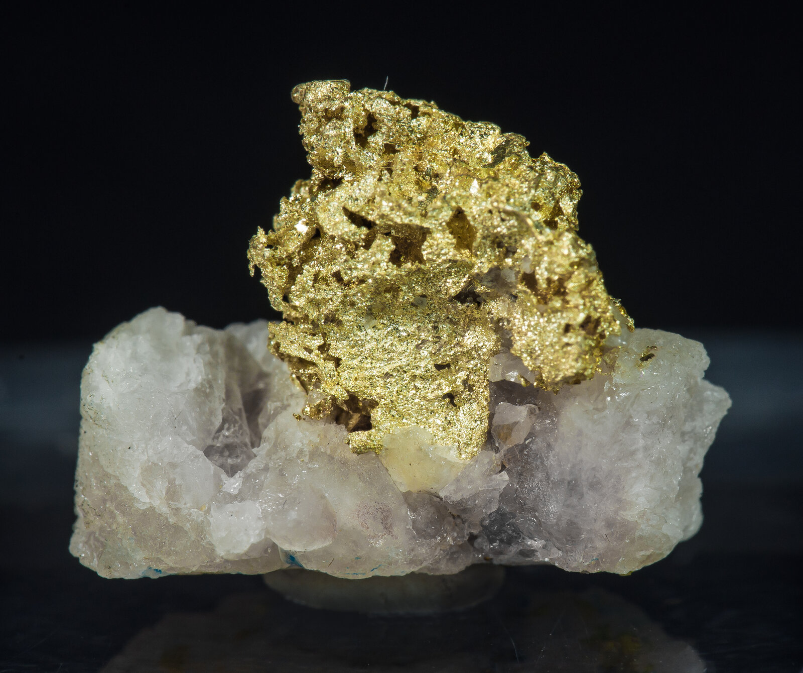 specimens/s_imagesAP7/Gold-CTX14AP7r.jpg