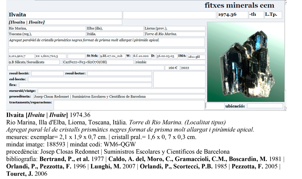 specimens/s_imagesAP7/Ilvaite-CTP66AP7e.jpg