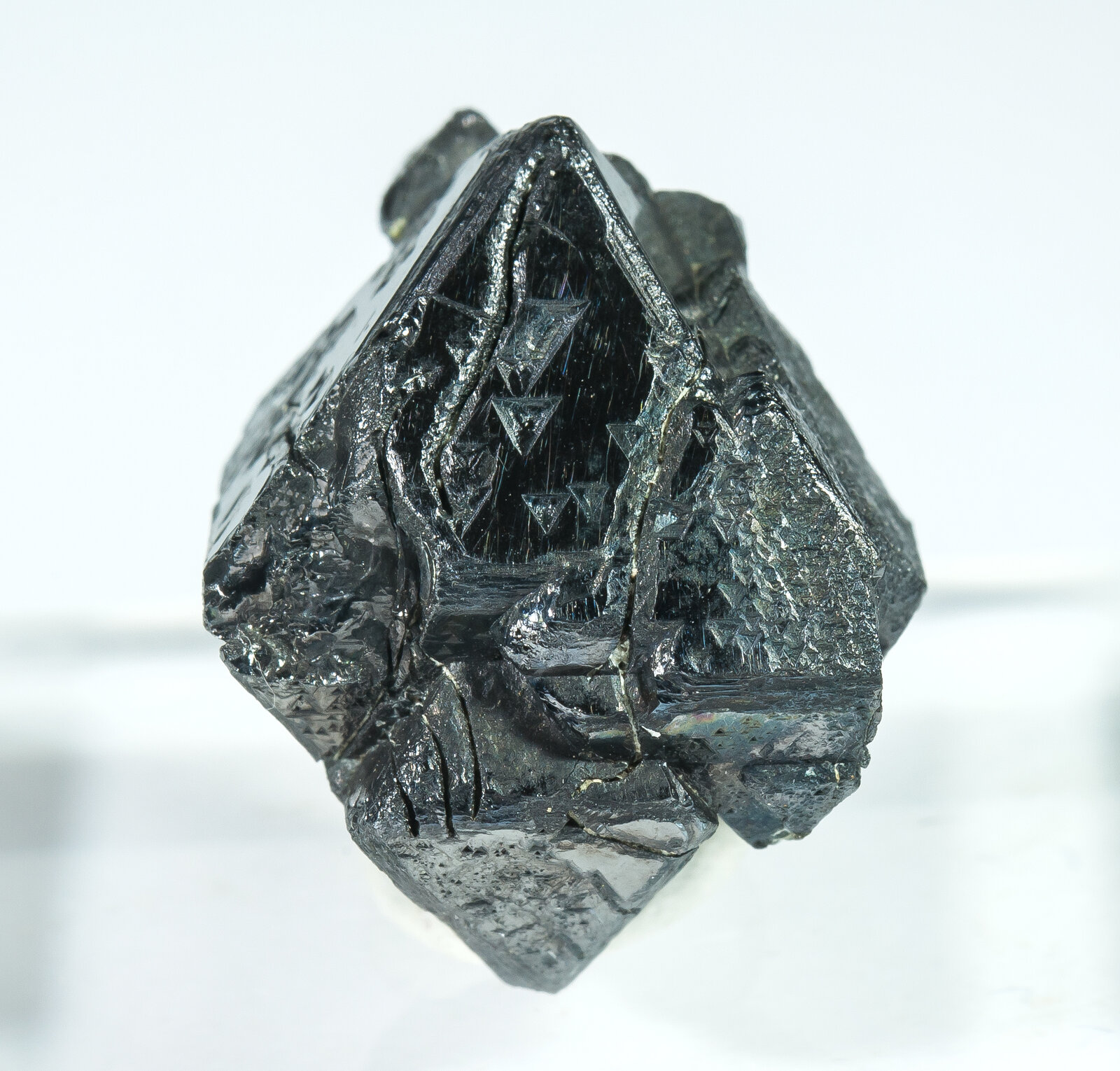 specimens/s_imagesAP7/Magnetite-TMP16AP7f.jpg