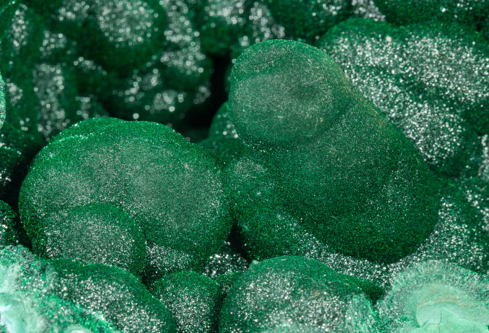 specimens/s_imagesAP7/Malachite-MJA53AP7d1.jpg