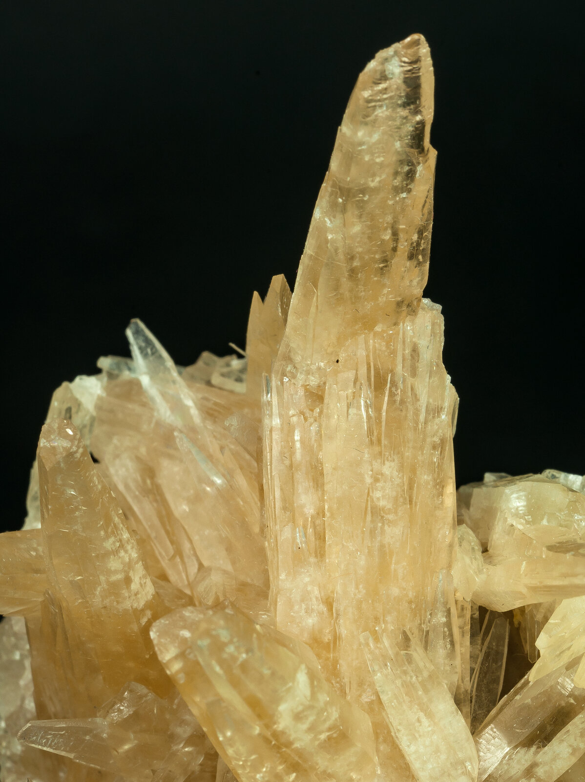 specimens/s_imagesAP8/Aragonite-JLX27AP8d.jpg