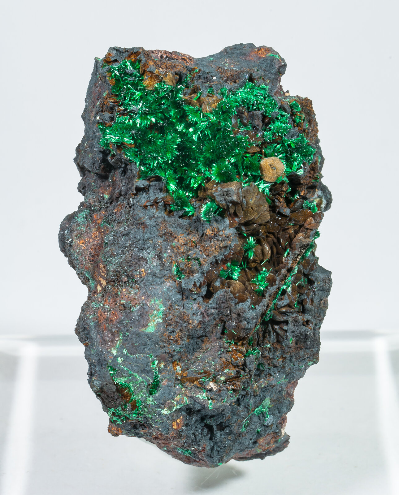 specimens/s_imagesAP8/Brochantite-JAB36AP8f.jpg