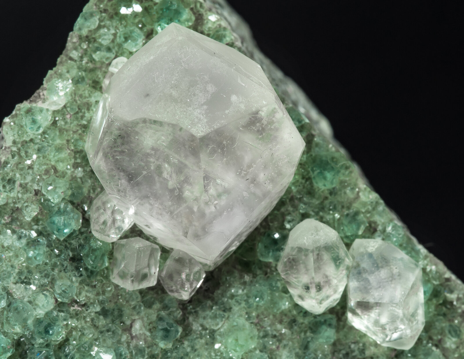 specimens/s_imagesAP8/Calcite-JRM16AP8d.jpg