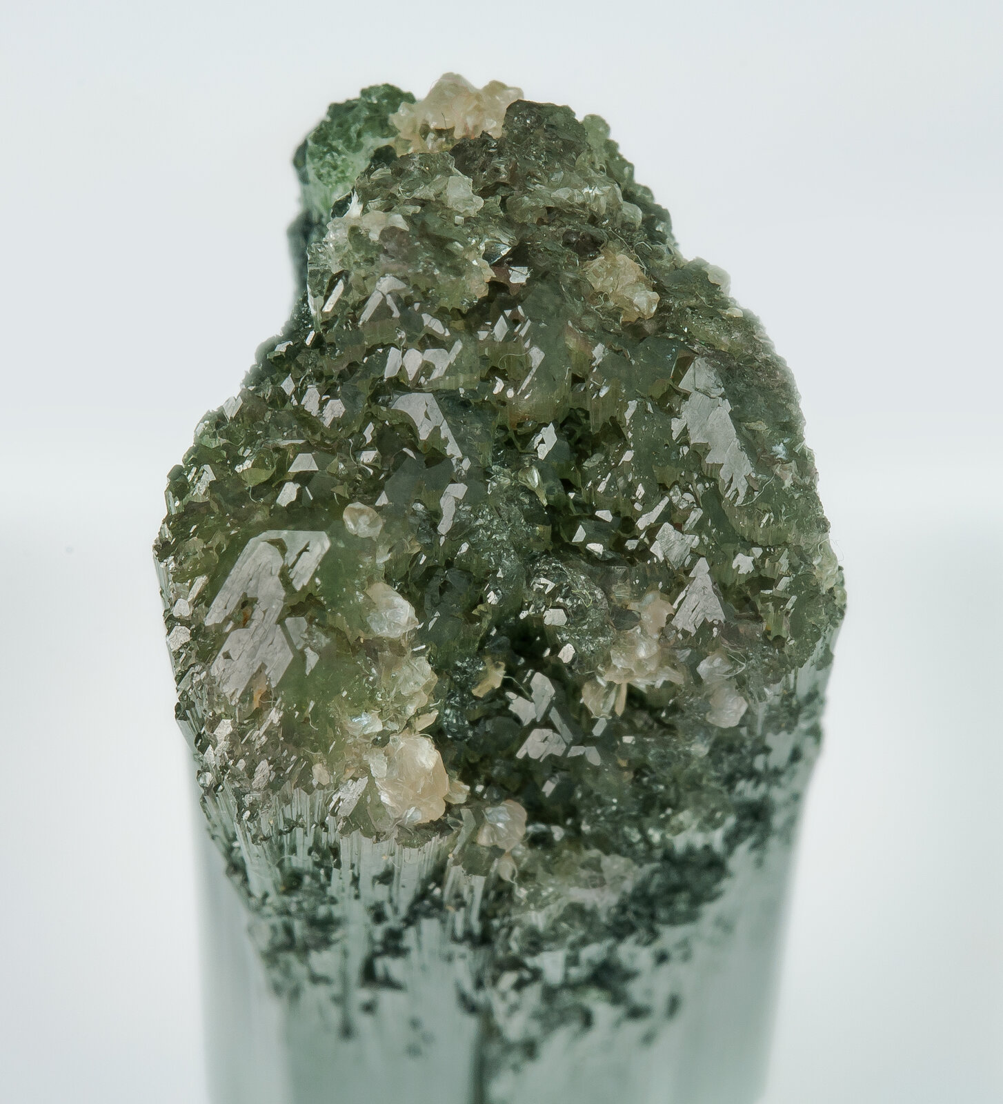 specimens/s_imagesAP8/Elbaite-TTV96AP8t.jpg