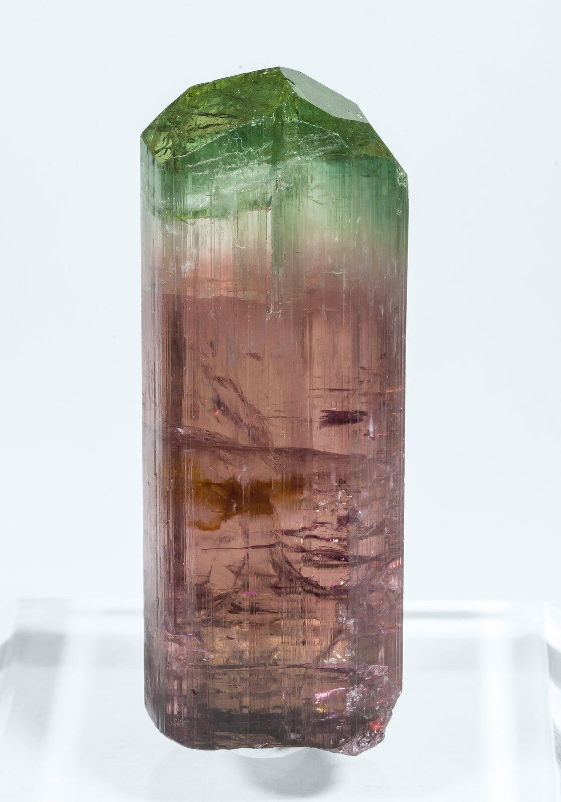 specimens/s_imagesAP8/Elbaite-TVA96AP8f.jpg