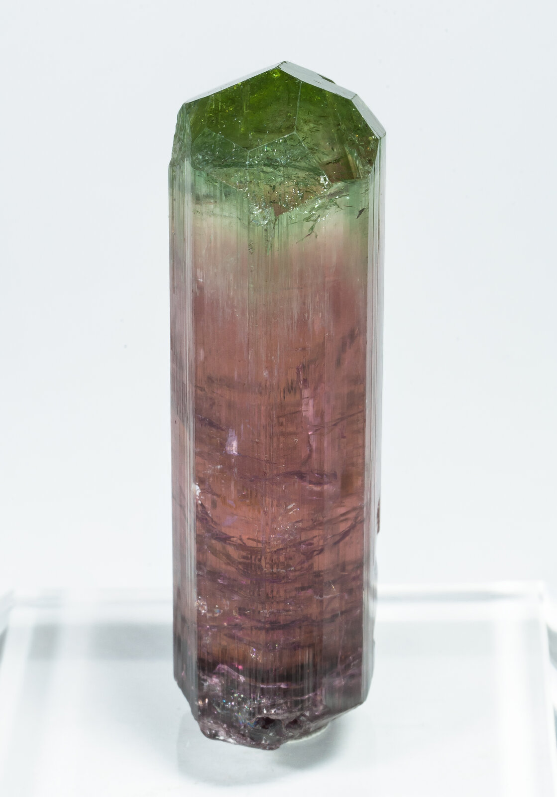 specimens/s_imagesAP8/Elbaite-TVA96AP8s.jpg