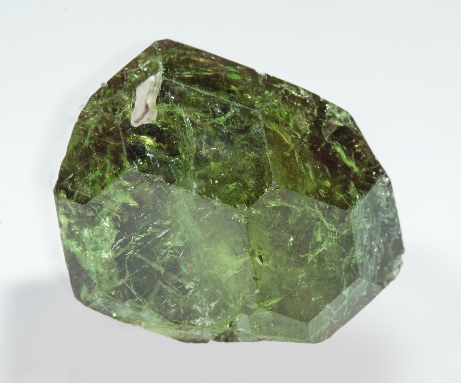 specimens/s_imagesAP8/Elbaite-TVA96AP8t.jpg