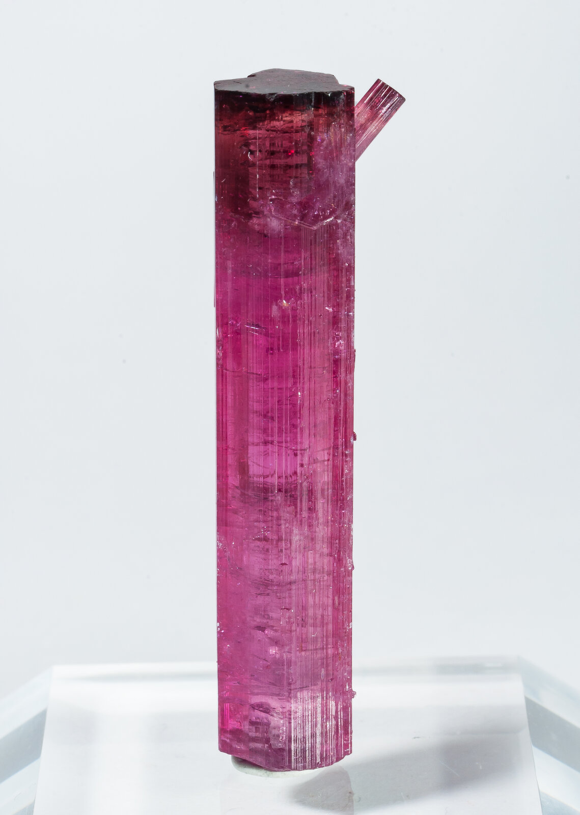 specimens/s_imagesAP8/Elbaite-TXM51AP8f.jpg