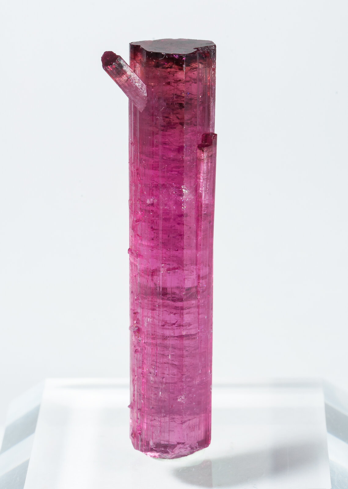 specimens/s_imagesAP8/Elbaite-TXM51AP8r.jpg