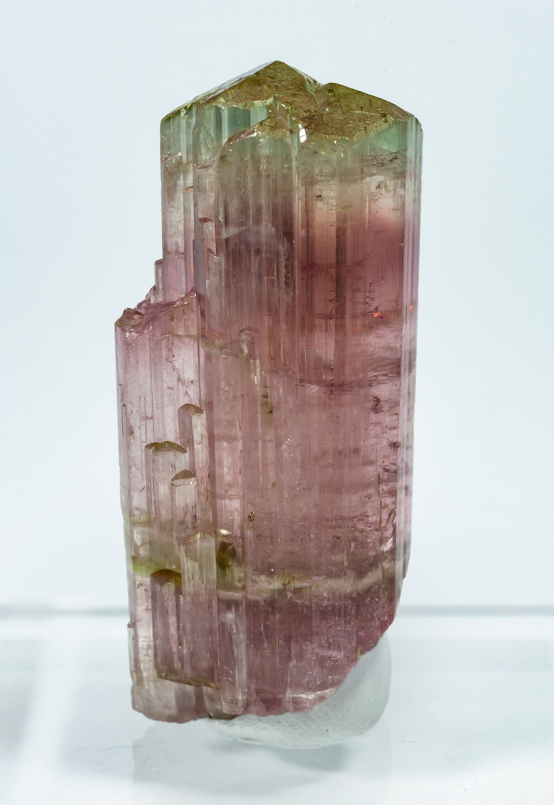 specimens/s_imagesAP8/Elbaite-TZA64AP8f.jpg