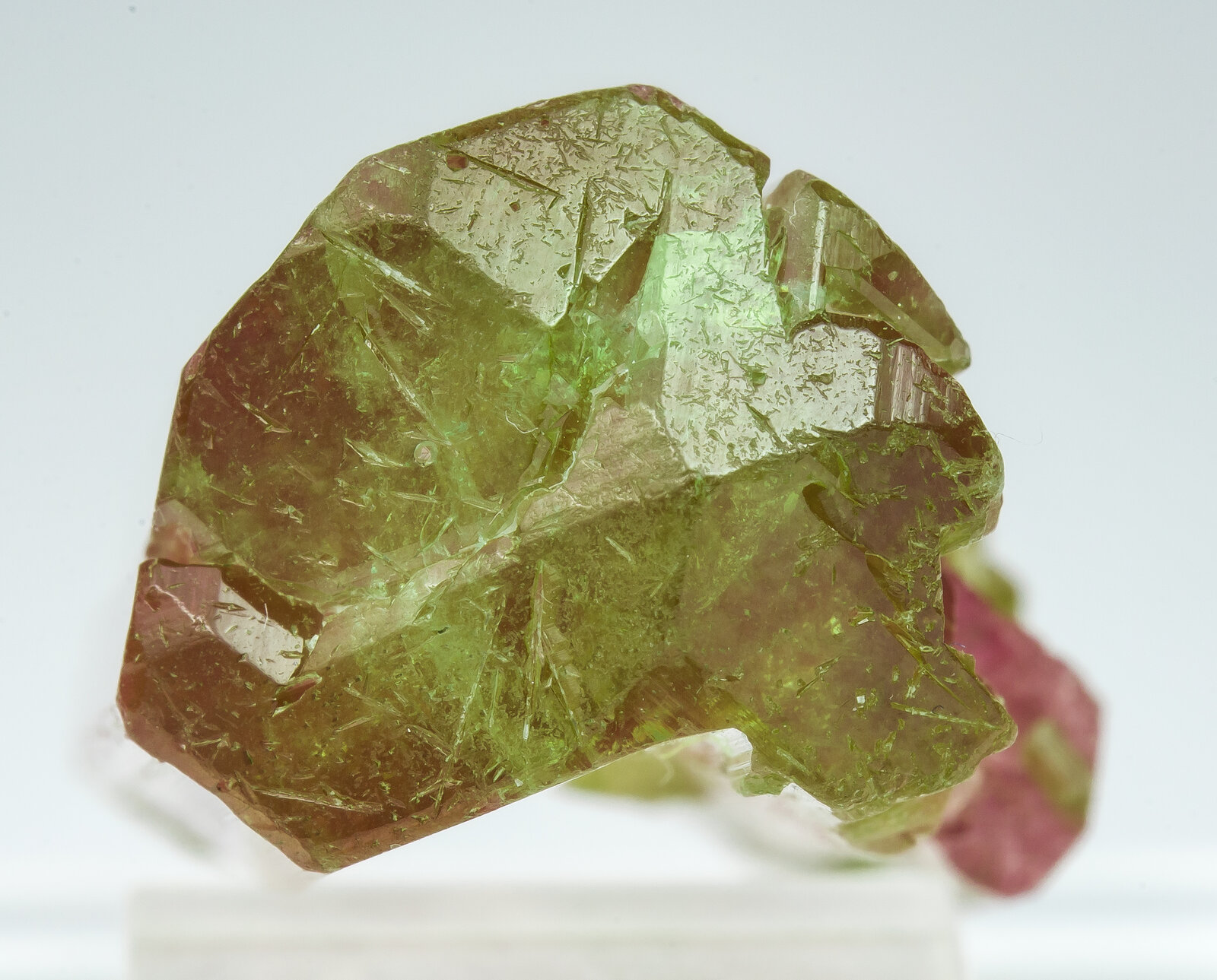 specimens/s_imagesAP8/Elbaite-TZA64AP8t.jpg