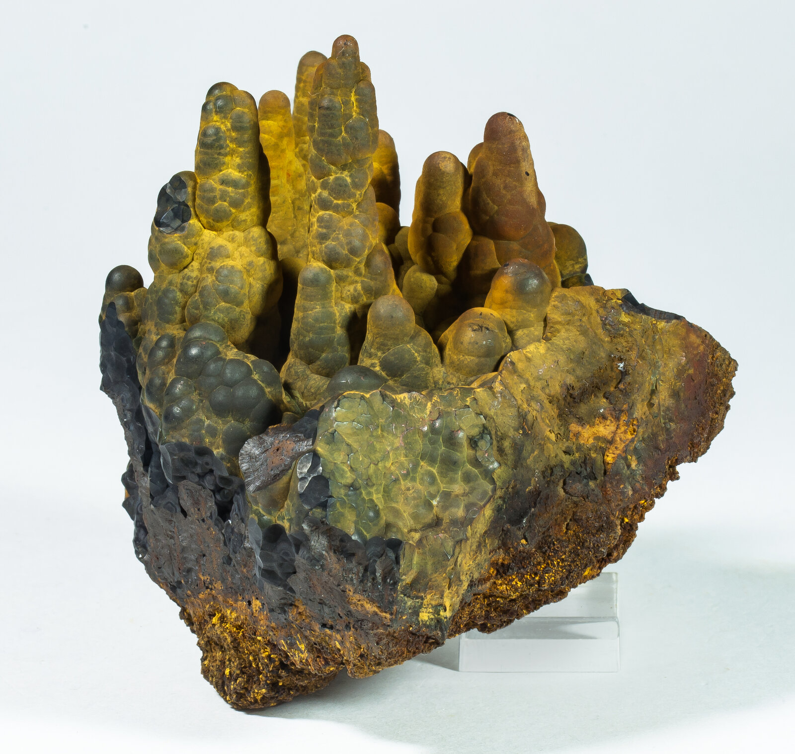 specimens/s_imagesAP8/Goethite-JJF6AP8s.jpg