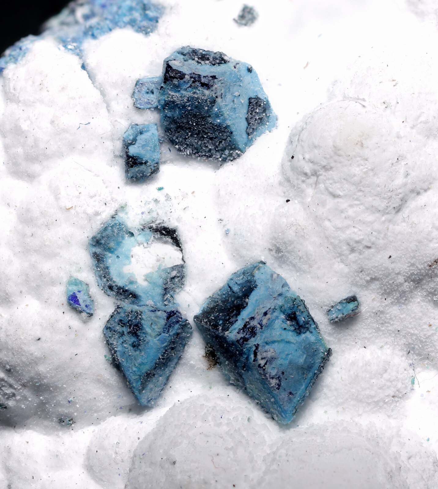 specimens/s_imagesAP8/Henmilite-TRM68AP8_2371_d.jpg