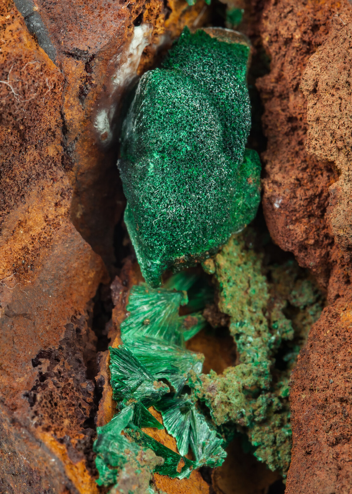 specimens/s_imagesAP8/Malachite-JLB26AP8d.jpg