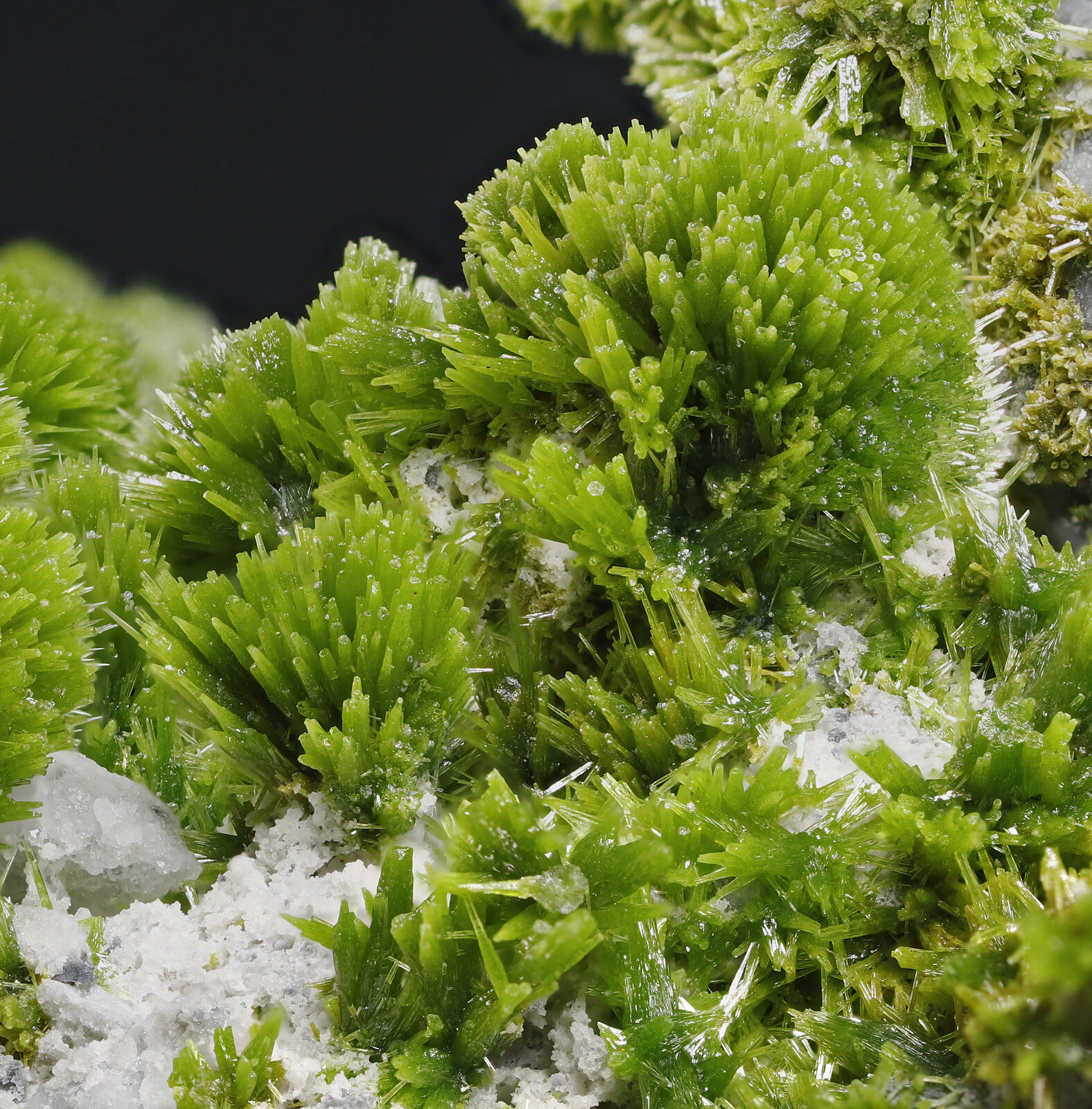 specimens/s_imagesAP8/Pyromorphite-TBC27AP8_2878_d.jpg