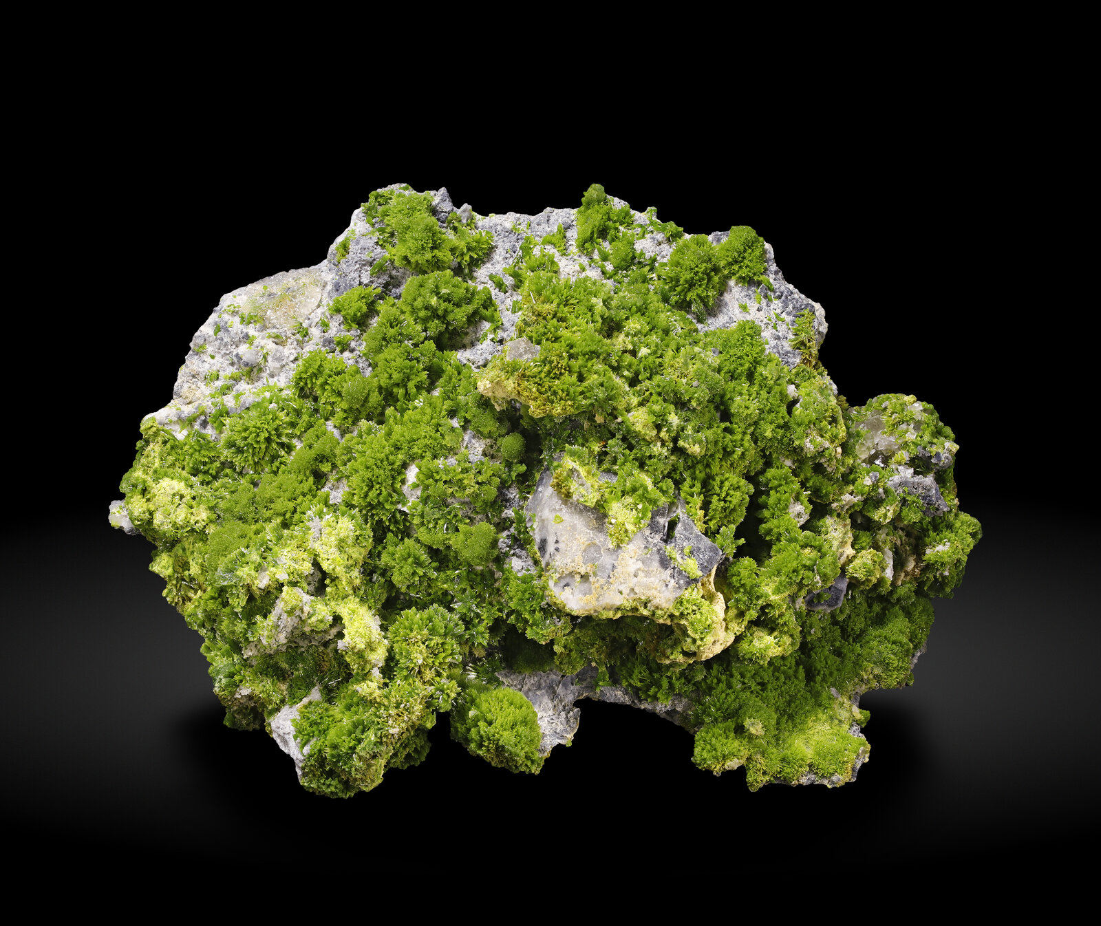 specimens/s_imagesAP8/Pyromorphite-TDE48AP8_2840_f.jpg