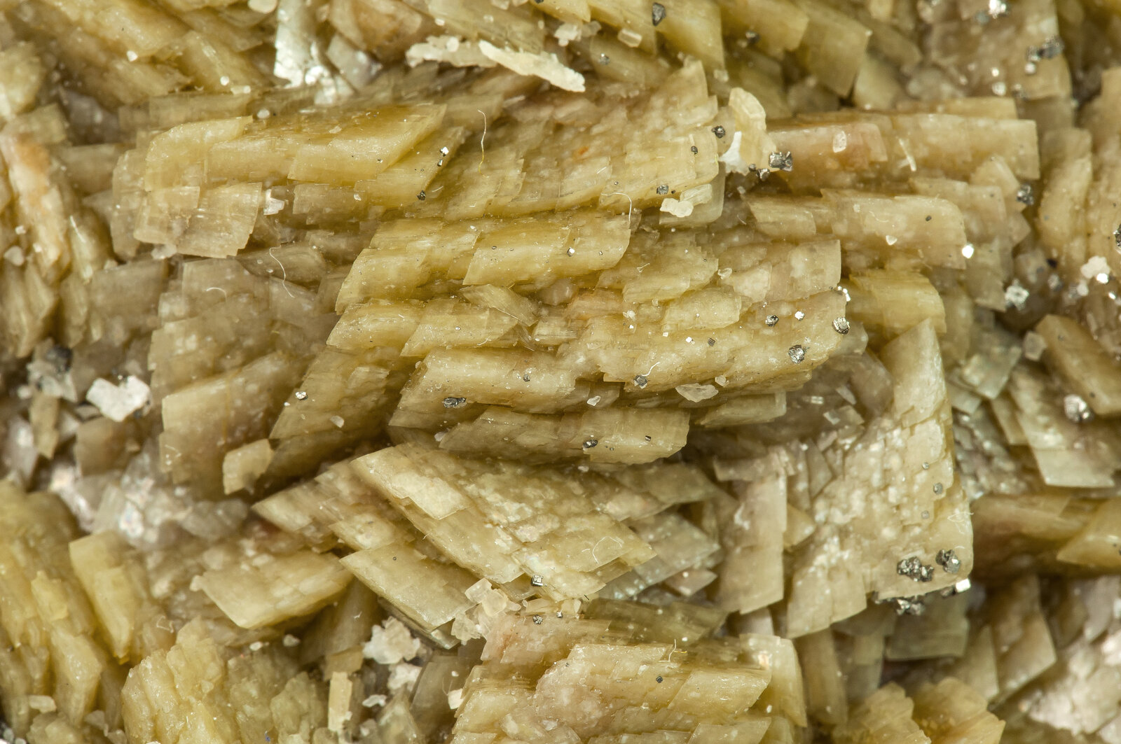 specimens/s_imagesAP8/Siderite-JBC36AP8d.jpg
