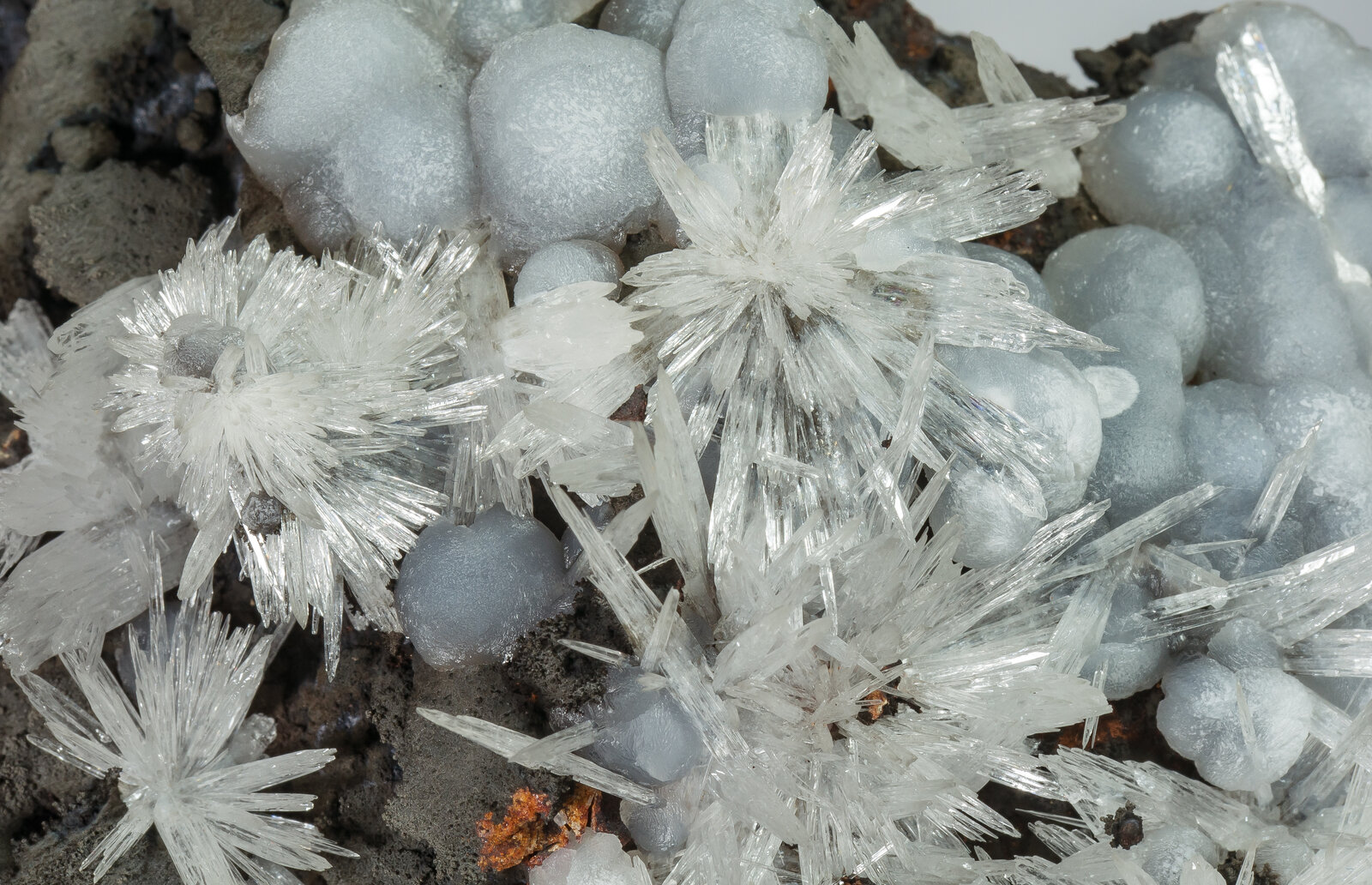 specimens/s_imagesAP9/Aragonite-TXY67AP9d.jpg