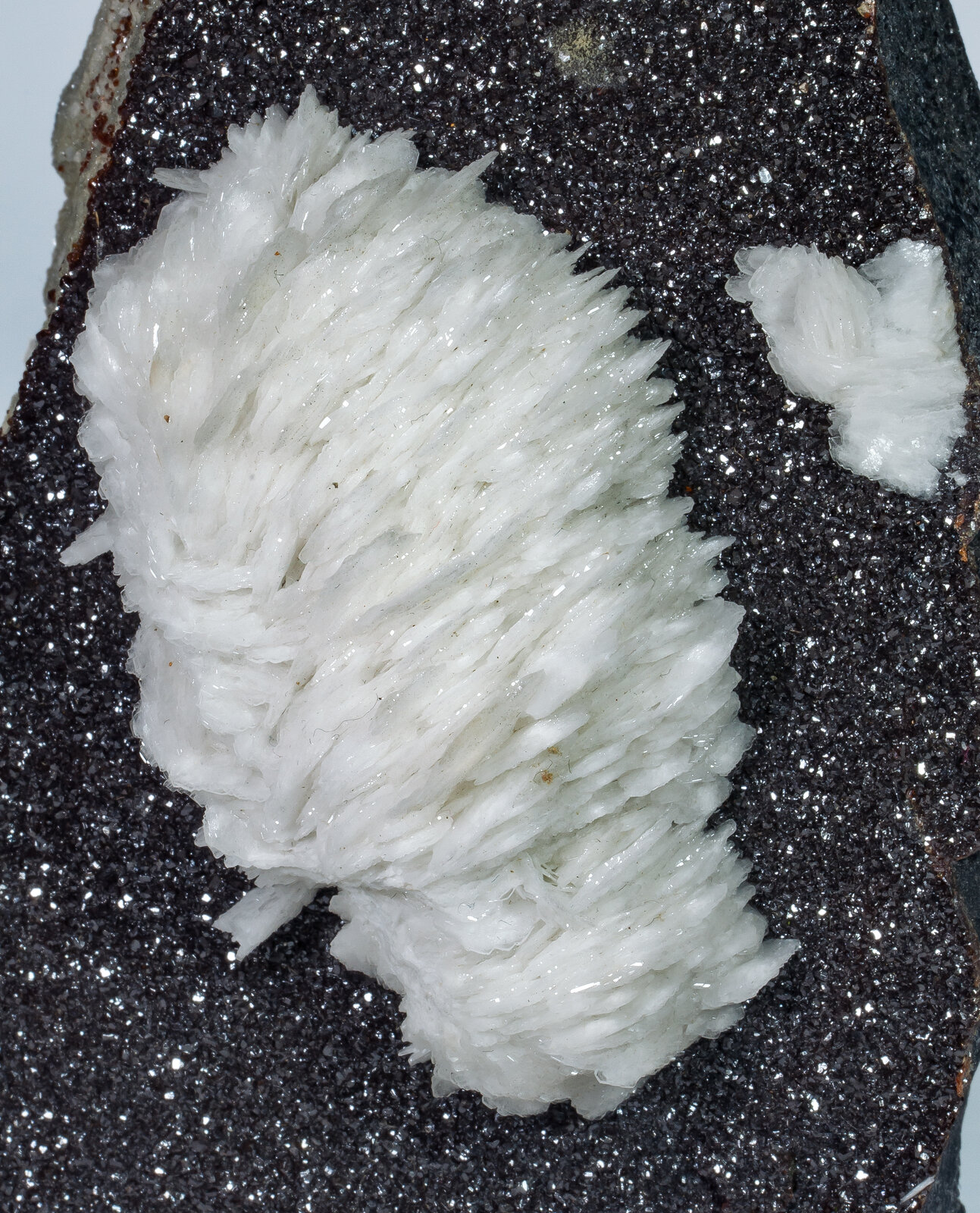 specimens/s_imagesAP9/Baryte-TXC47AP9d.jpg