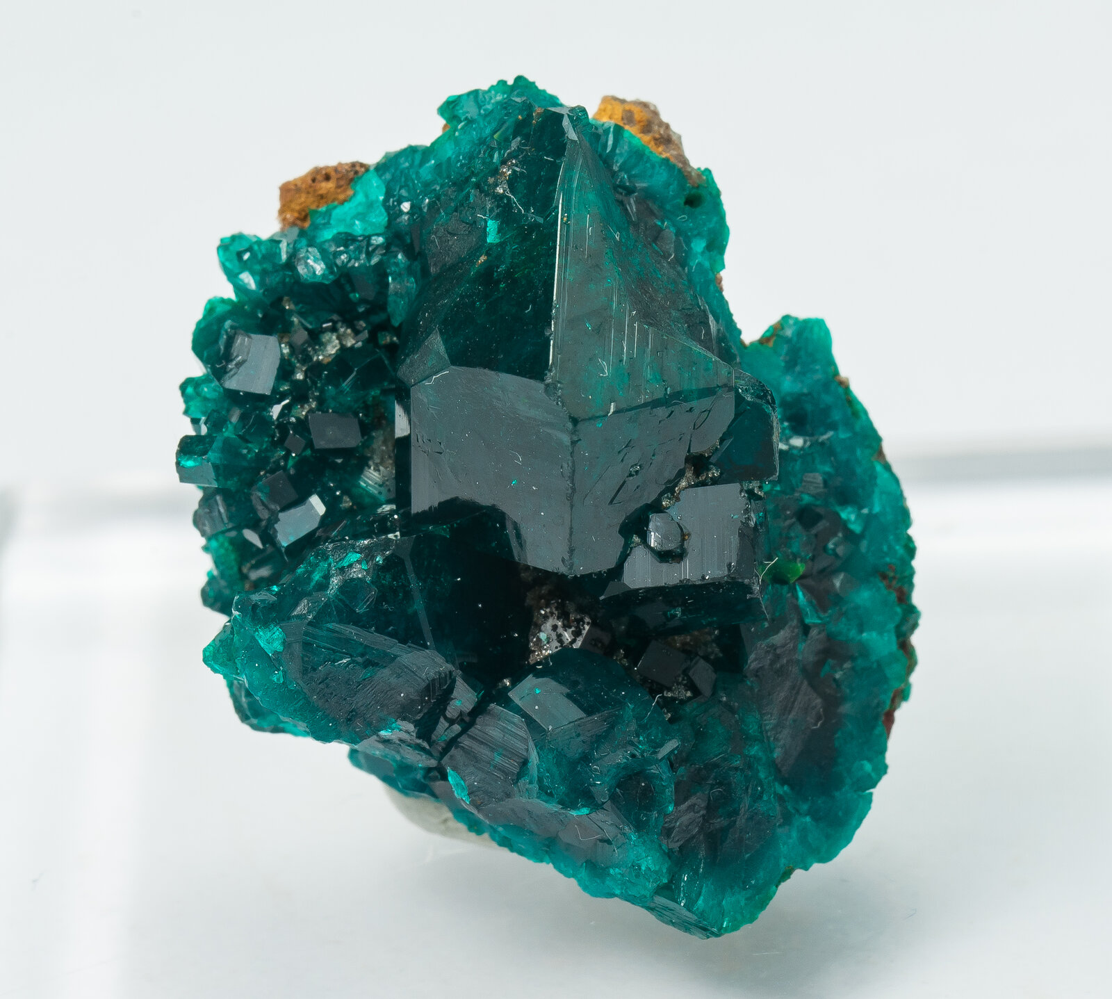 specimens/s_imagesAP9/Dioptase-TRX27AP9f.jpg