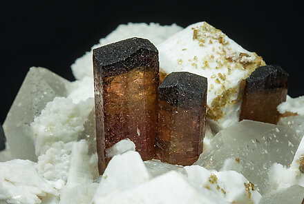 Elbaite-Schorl Series (variety rubellite) with Quartz and Microcline. 