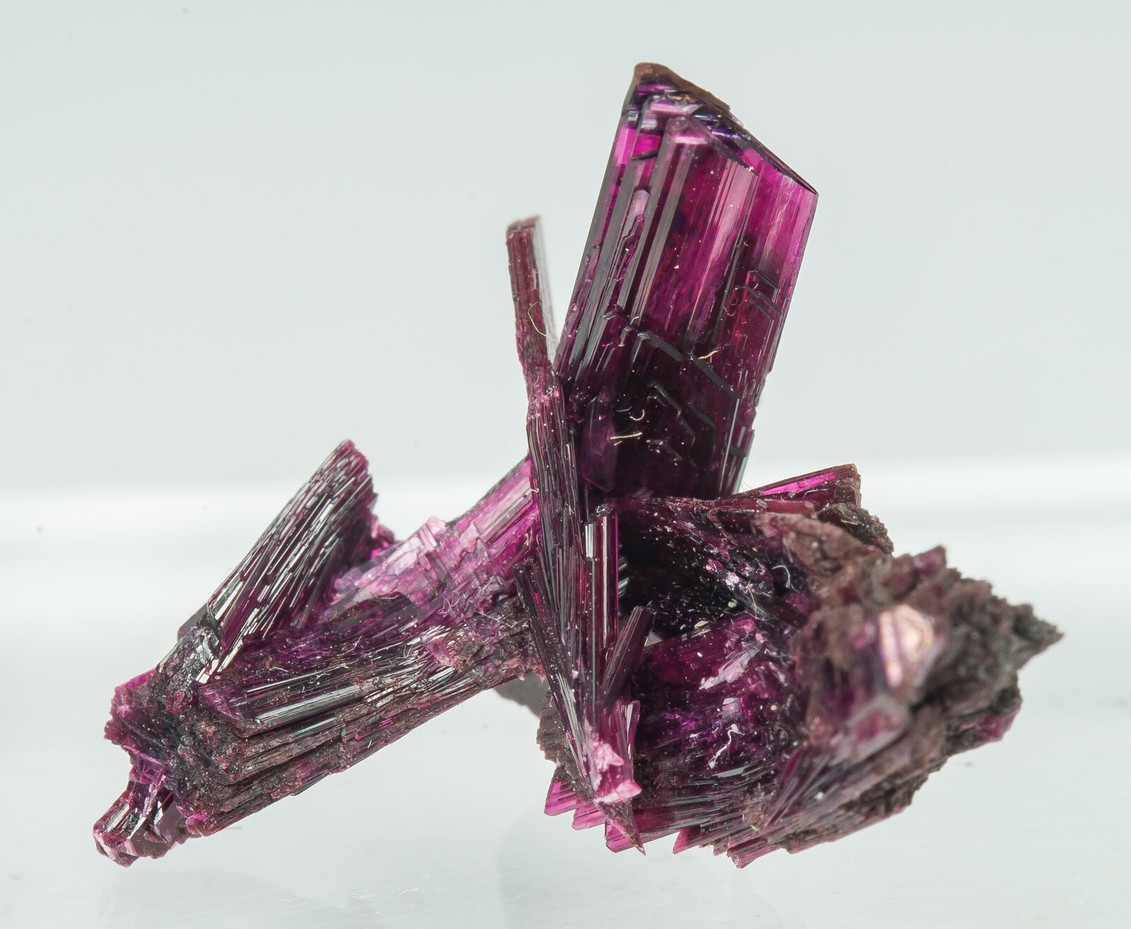 specimens/s_imagesAP9/Erythrite-TBB27AP9f.jpg